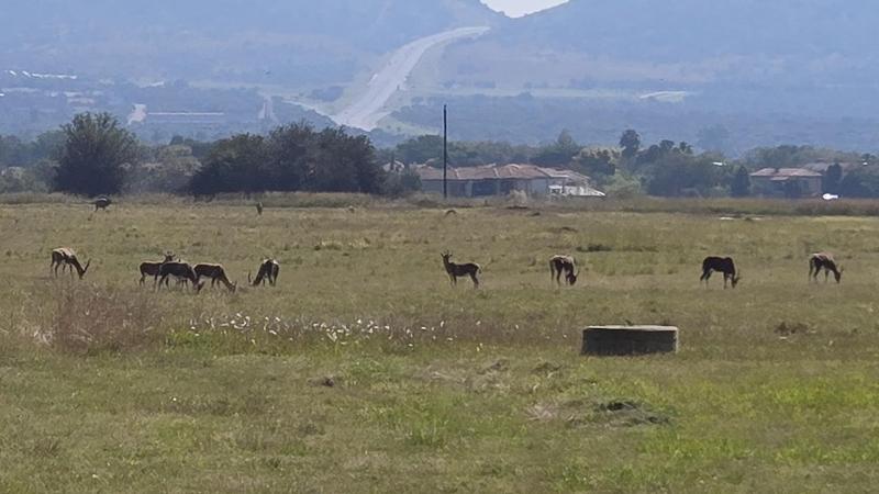 0 Bedroom Property for Sale in WestLake Country Safari Estate North West